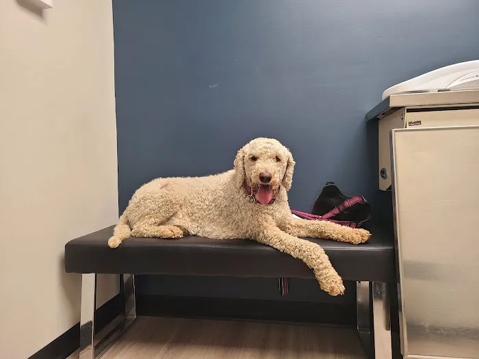 Roane Veterinary Hospital Picture 5