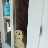 Animal Medical Center ico