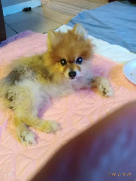 Animal Medical Center Picture 2