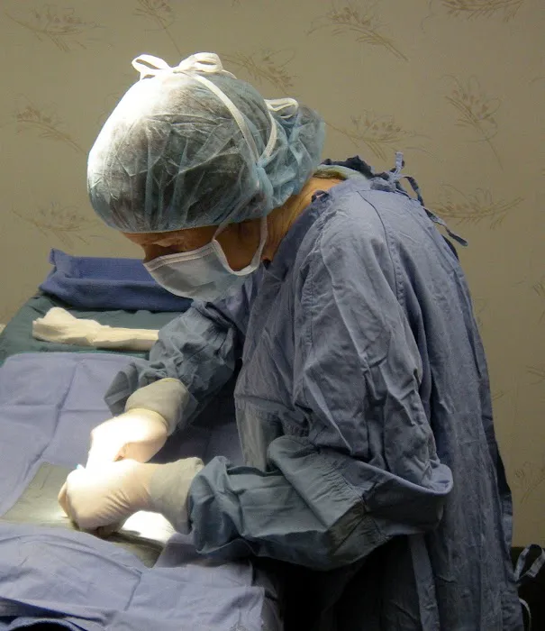 Kingston Animal Hospital, PC Picture 9