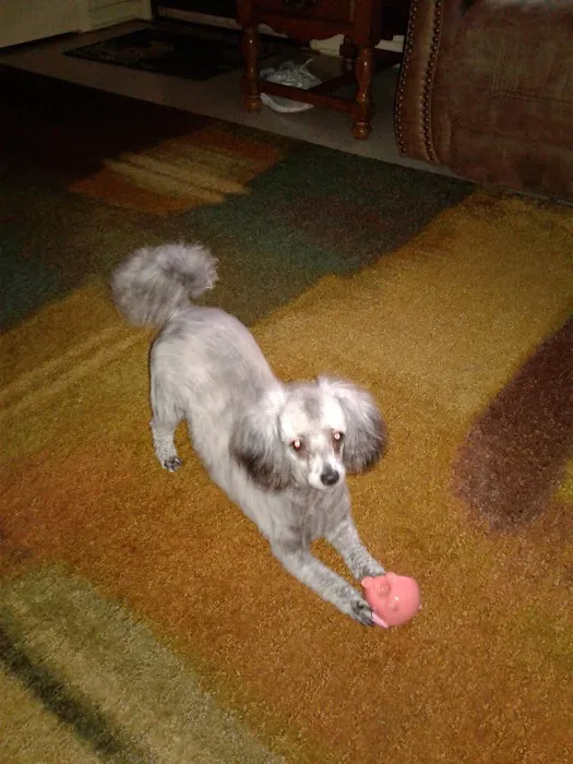 Ridgeview Animal Clinic Picture 9
