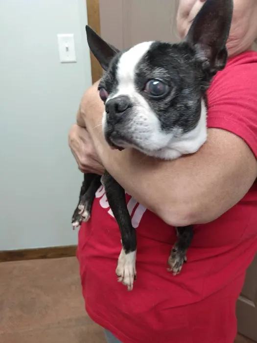 Plantation Veterinary Clinic Picture 4
