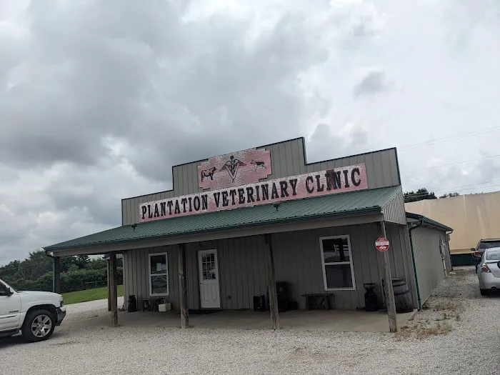 Plantation Veterinary Clinic Picture 7