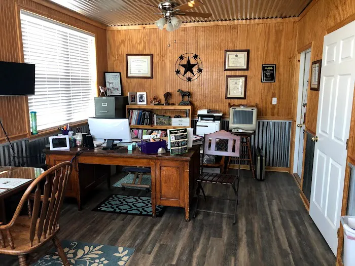 Southern Equine Veterinary Services Picture 7