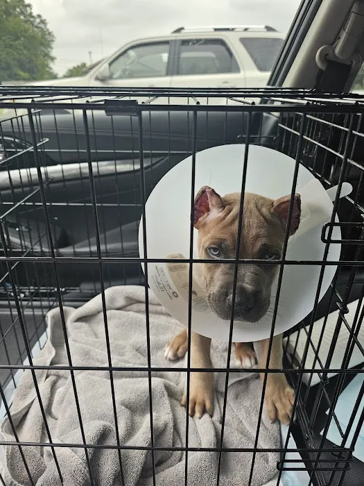 Town & Country Veterinary Services Picture 5