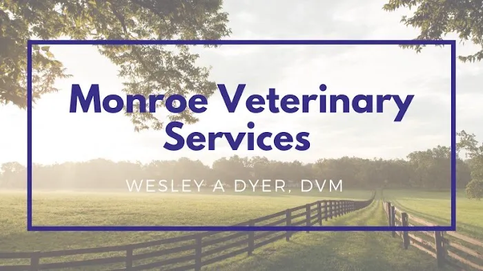 Monroe Veterinary Services, LLC Picture 4