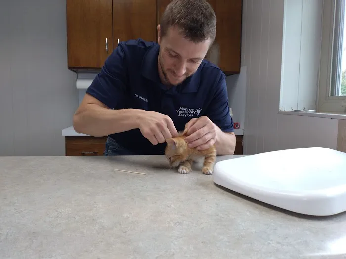 Monroe Veterinary Services, LLC Picture 9