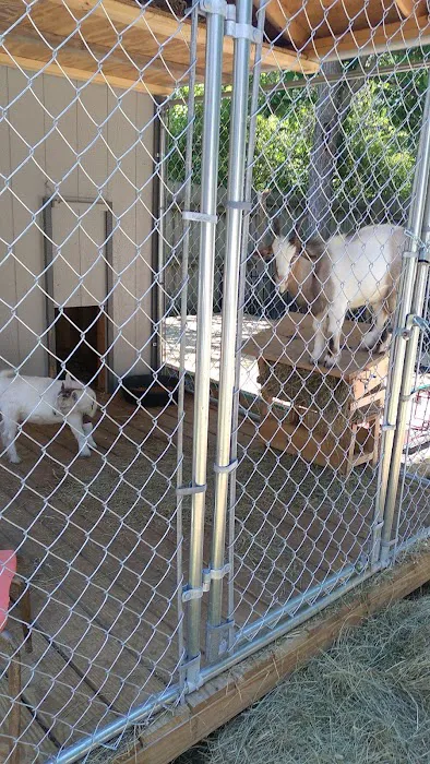 Animal Clinic of Glasgow Picture 4
