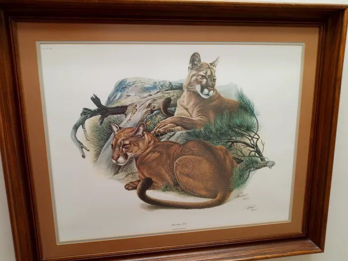 Veterinary Medical Center Picture 7
