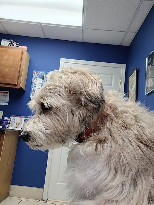 Veterinary Medical Center Picture 5