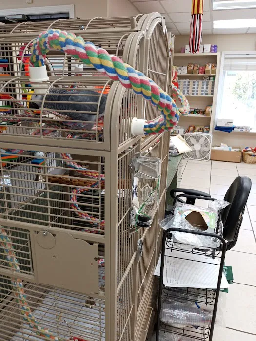 Veterinary Medical Center Picture 8