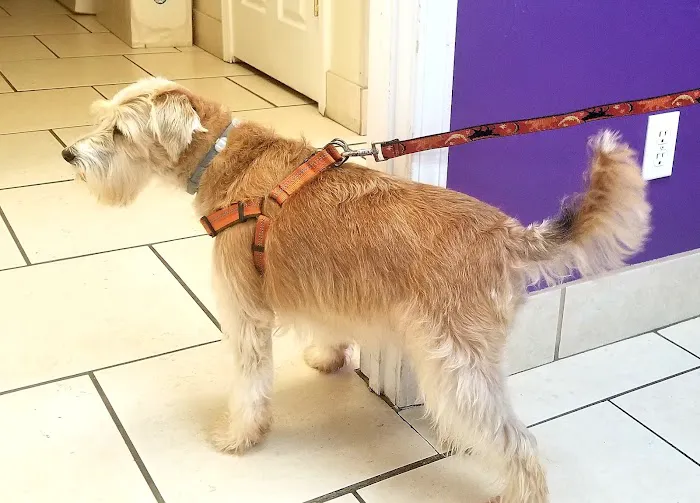 Veterinary Medical Center Picture 6