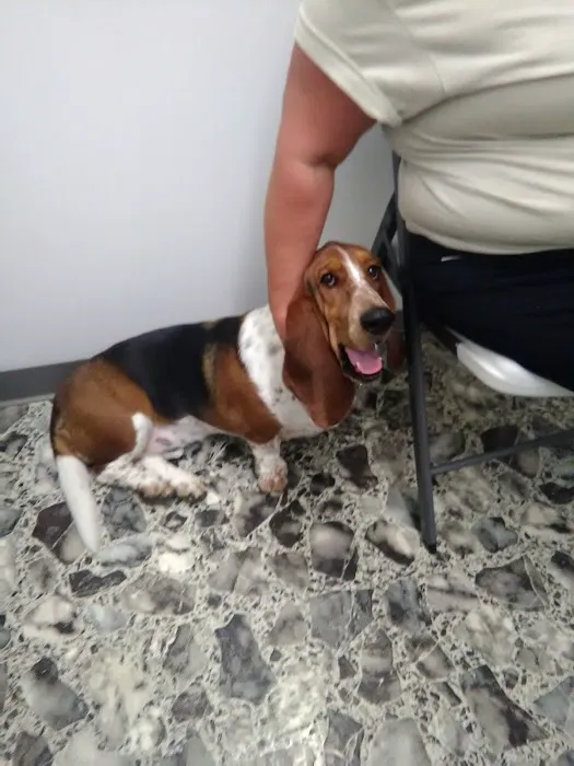 Animal Care Veterinary Center Picture 5