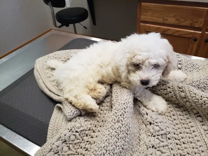 Friendship Veterinary Center Inc Picture 2