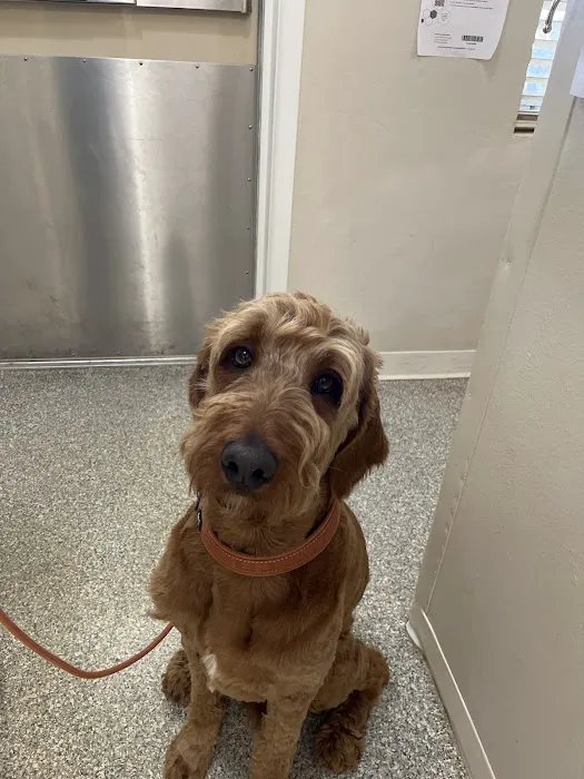 Hill Country Veterinary Clinic Picture 1