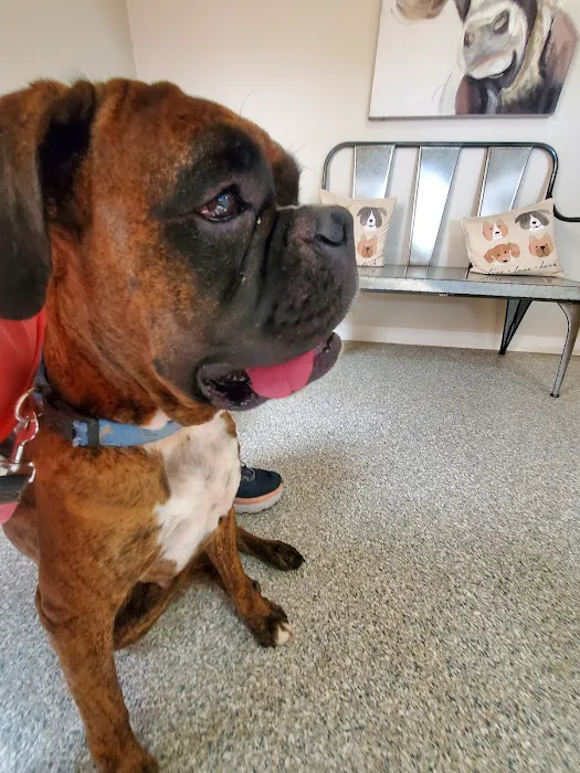 Hill Country Veterinary Clinic Picture 2