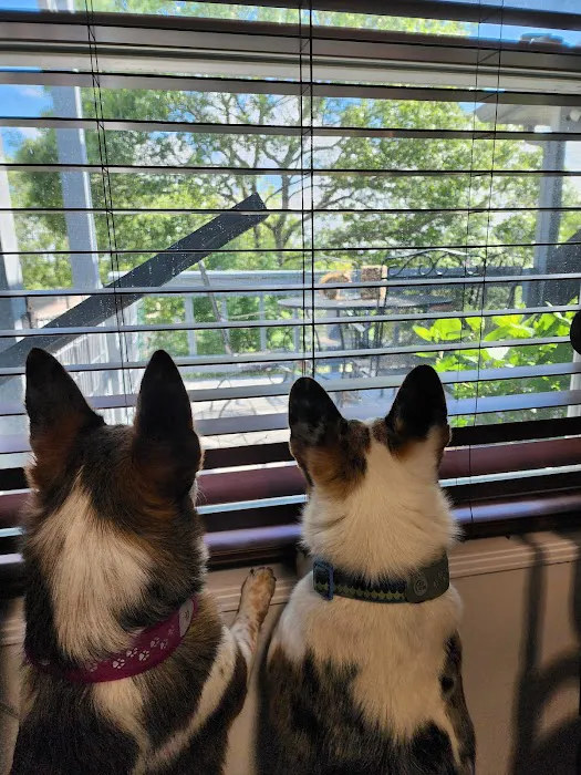 Hill Country Veterinary Clinic Picture 9
