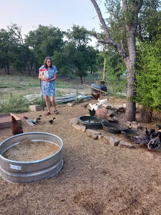 Hill Country Veterinary Clinic Picture 10