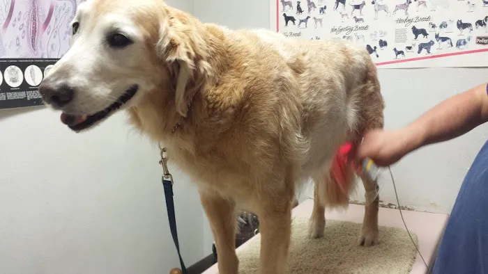 Ark Veterinary Hospital Picture 2