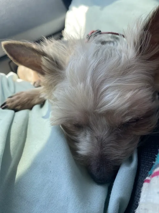 Ark Veterinary Hospital Picture 5