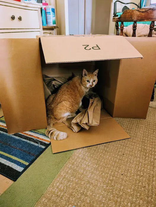 Ark Veterinary Hospital Picture 4