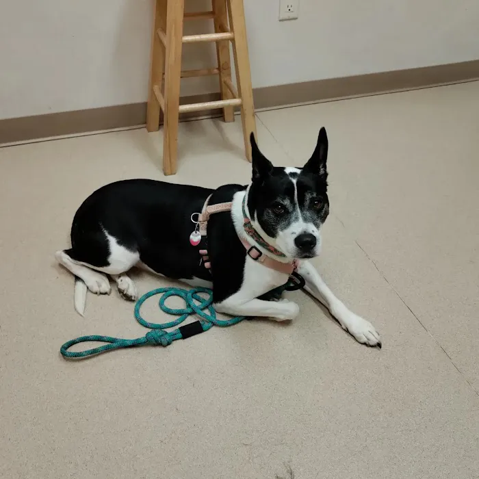 Kerrville Veterinary Clinic PLLC Picture 6
