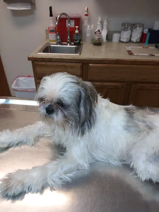 Kerrville Veterinary Clinic PLLC Picture 9
