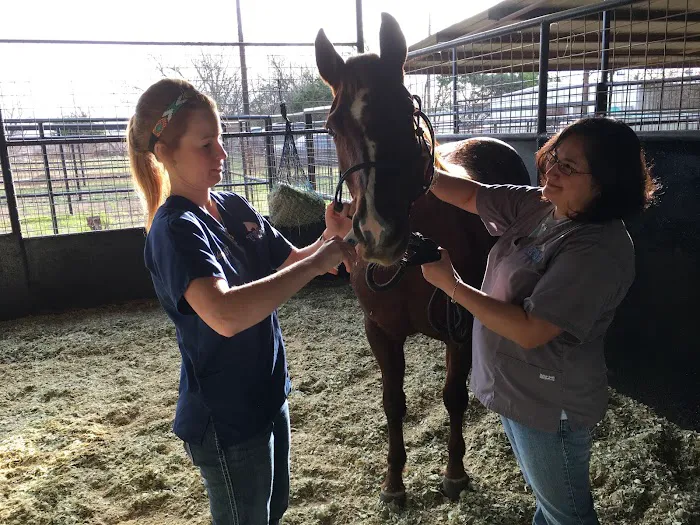 Town & Country Animal Hospital Picture 5