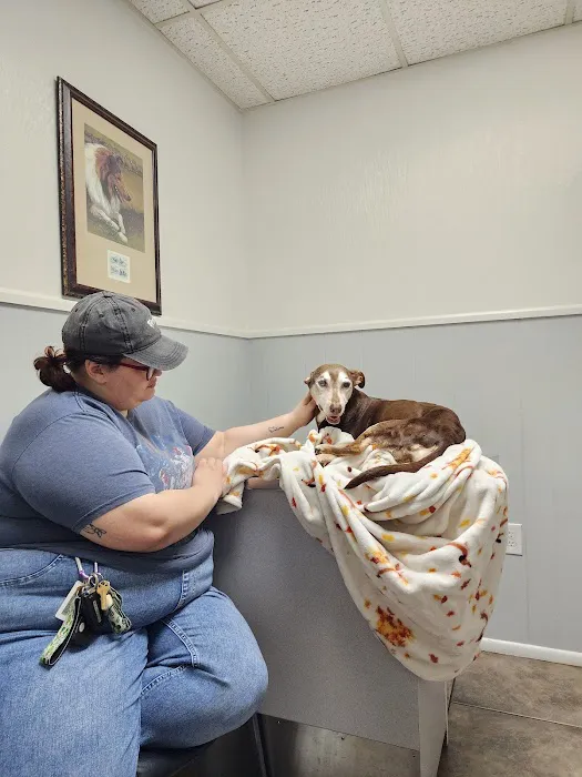 Town & Country Animal Hospital Picture 3