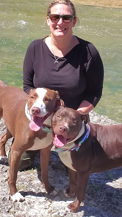 Town & Country Animal Hospital Picture 8