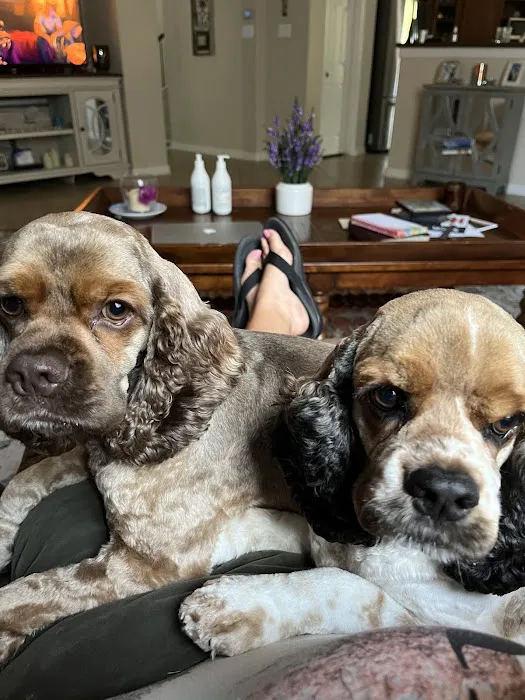 Town & Country Animal Hospital Picture 10