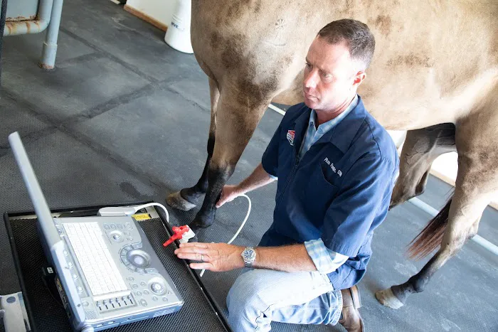 Fredericksburg Equine & Small Animal Veterinary Services Picture 7