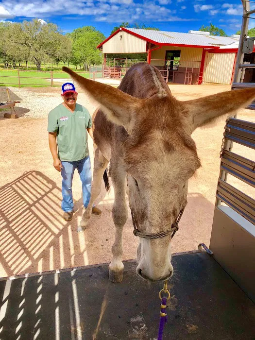 Fredericksburg Equine & Small Animal Veterinary Services Picture 9