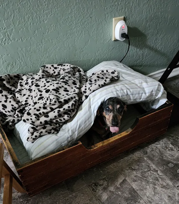 Compassionate Care Veterinary Hospital Picture 4