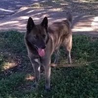 Compassionate Care Veterinary Hospital ico