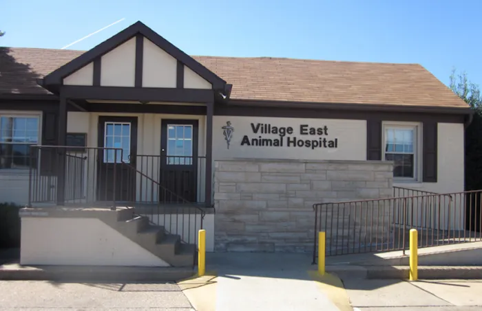 Village East Animal Hospital Picture 10