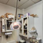 Shelbyville Veterinary Clinic