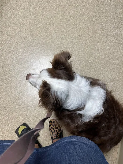 Shelby Veterinary Service, P.C. Picture 3