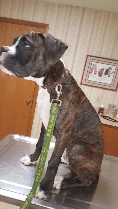 Shelby Veterinary Service, P.C. Picture 8