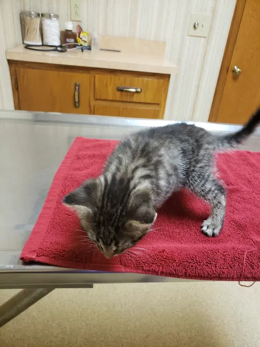 Shelby Veterinary Service, P.C. Picture 10