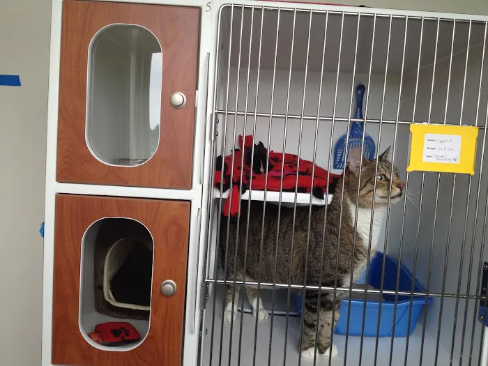 Loving Paws Pet Clinic Picture 2