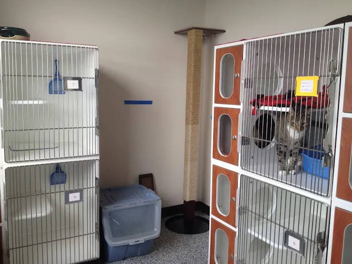 Loving Paws Pet Clinic Picture 9