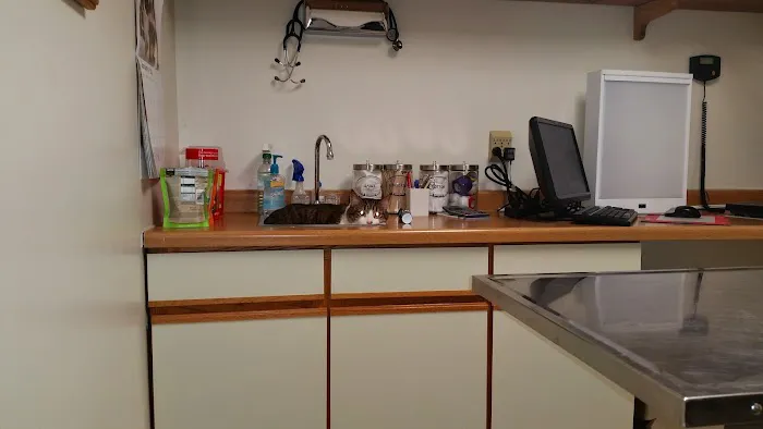 Curtis Road Animal Hospital Picture 1