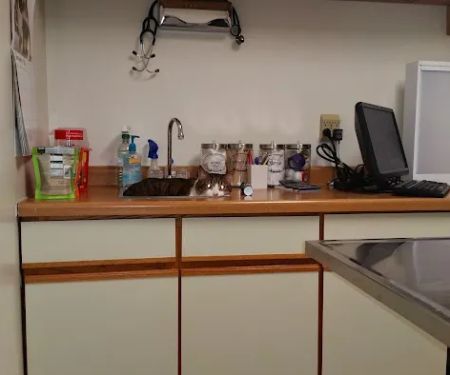 Curtis Road Animal Hospital