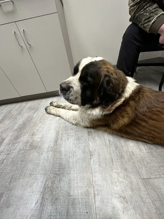 Animal Hospital at the Crossing Picture 9