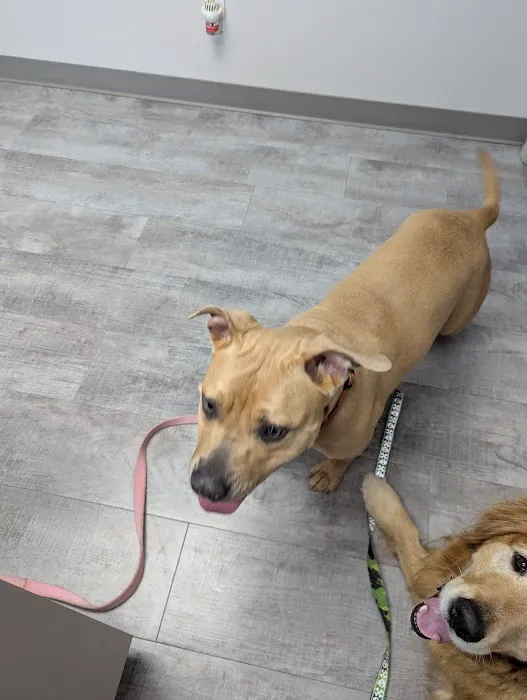 Animal Hospital at the Crossing Picture 10