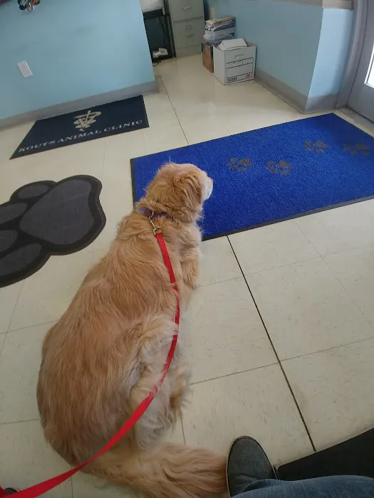 Kouts Animal Clinic Picture 5