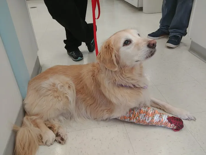 Kouts Animal Clinic Picture 4