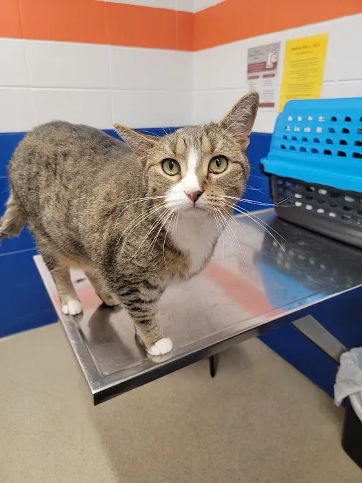 Kankakee Animal Hospital Picture 1