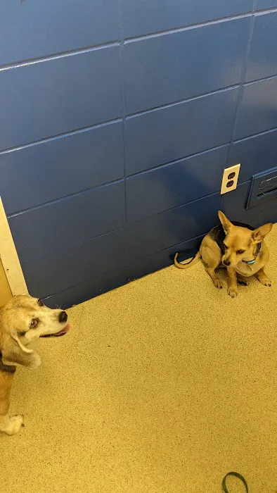 Kankakee Animal Hospital Picture 2